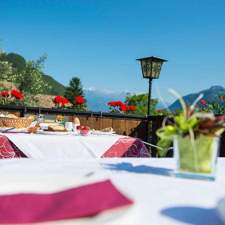 Pension Stamserhof Nalles Exteriör bild