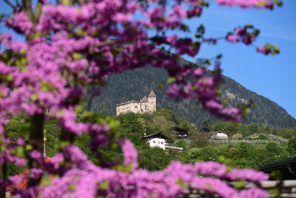 Pension Stamserhof Nalles Exteriör bild